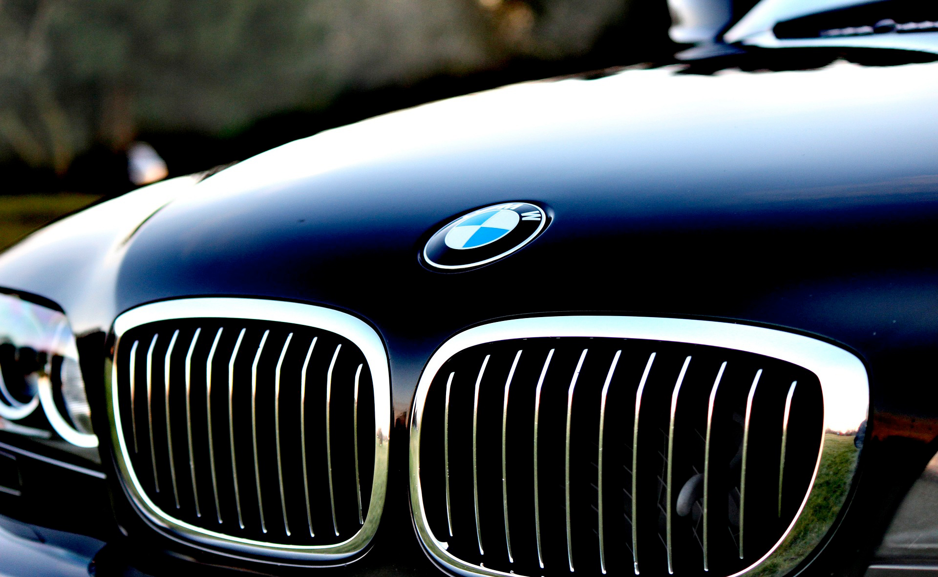 closeup on a bmw badge and grille